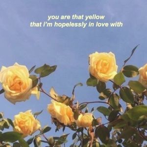 Meet your Posher, Denice